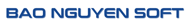 Bộ phận Hỗ trợ kỹ thuật [BAO NGUYEN SOFT]
